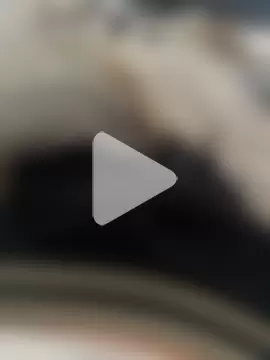 xsamuel0 photo 19