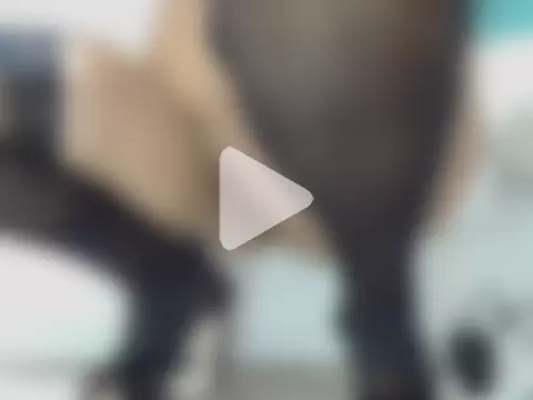 xxcatwomanxx photo 21