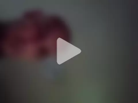 xxxavior69 photo 5