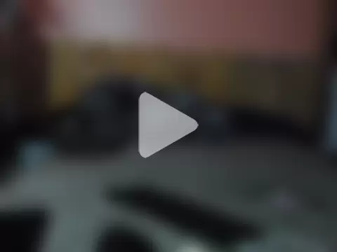 xxxebraXCX photo 6