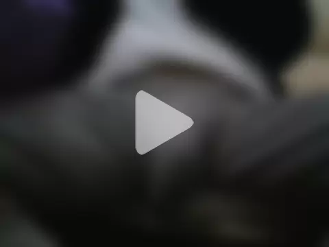 xxxlhung4uxxx photo 3