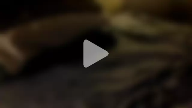 yellow__bird photo 6