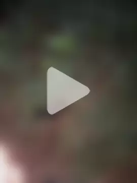 yingzi003 photo 25