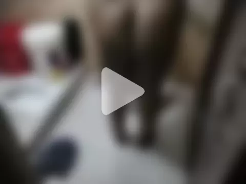your-shapna-47 photo 17