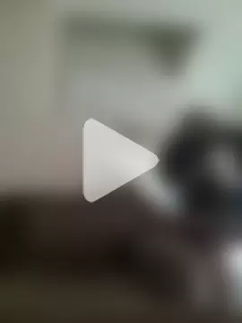 yourMasterisBored photo 12