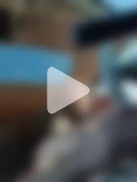 yourpersonalpeer1 photo 19