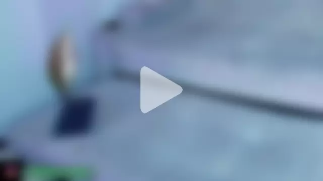 zaiin_diesel photo 17